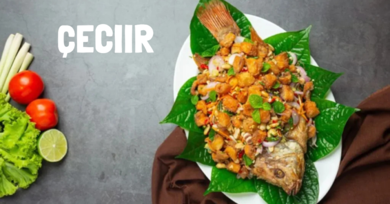 The Power of Ceciir: A Nutritional and Culinary Marvel